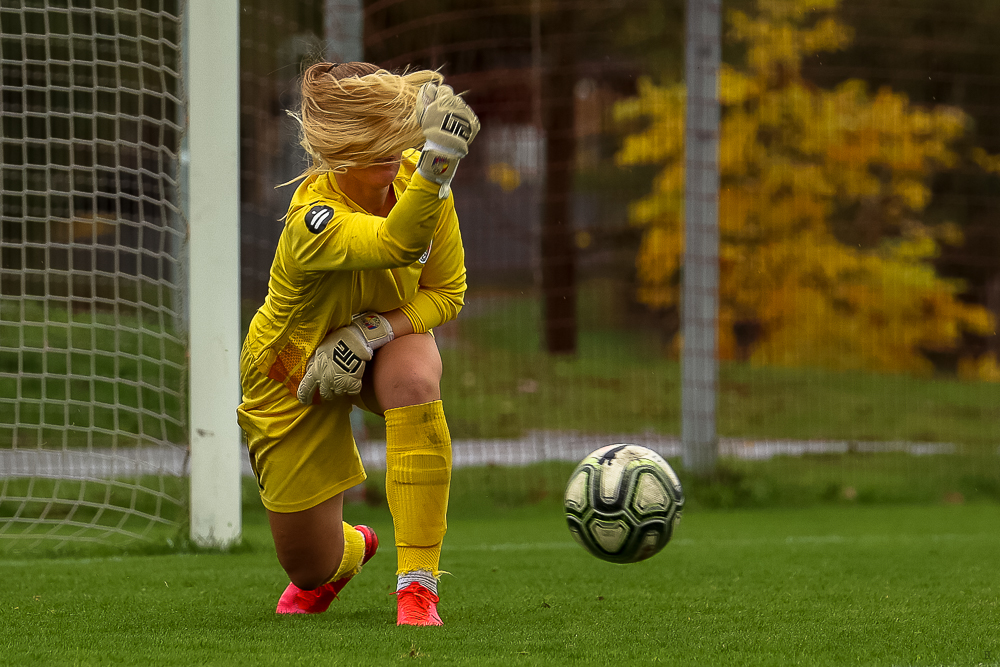 FC Viktoria Plzeň vs FC Slovan Liberec (12 z 87)