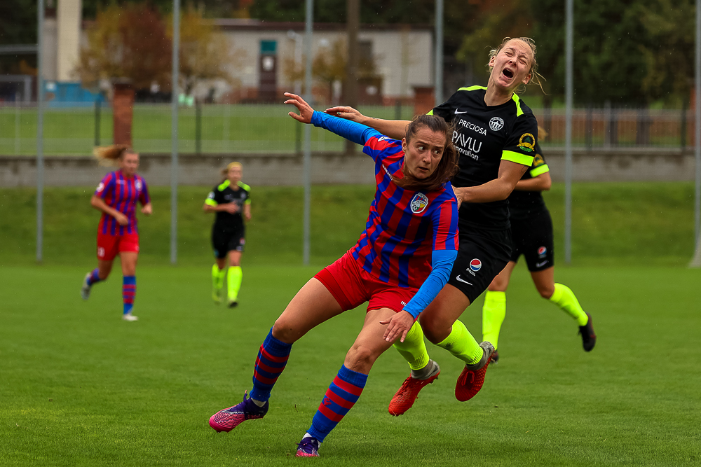 FC Viktoria Plzeň vs FC Slovan Liberec (18 z 87)