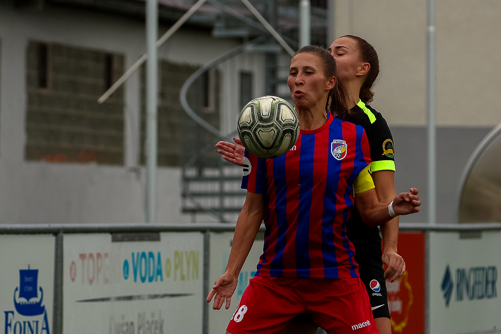 FC Viktoria Plzeň vs FC Slovan Liberec (20 z 87)