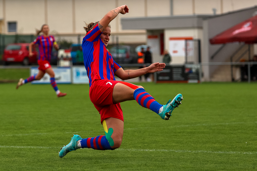 FC Viktoria Plzeň vs FC Slovan Liberec (23 z 87)