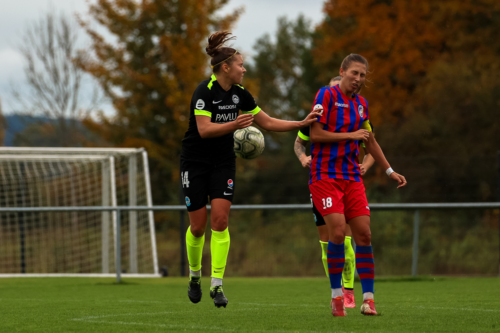 FC Viktoria Plzeň vs FC Slovan Liberec (29 z 87)