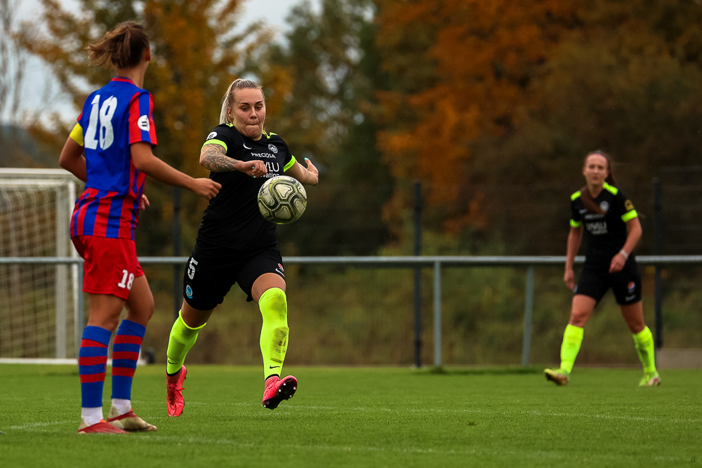 FC Viktoria Plzeň vs FC Slovan Liberec (30 z 87)