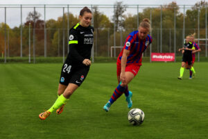 FC Viktoria Plzeň vs FC Slovan Liberec (34 z 87)
