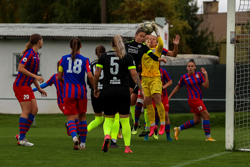 FC Viktoria Plzeň vs FC Slovan Liberec (35 z 87)