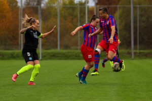 FC Viktoria Plzeň vs FC Slovan Liberec (38 z 87)