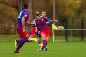 FC Viktoria Plzeň vs FC Slovan Liberec (40 z 87)