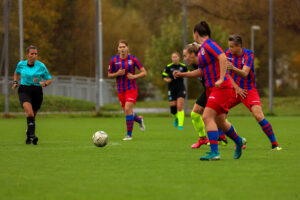FC Viktoria Plzeň vs FC Slovan Liberec (42 z 87)