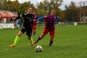 FC Viktoria Plzeň vs FC Slovan Liberec (43 z 87)