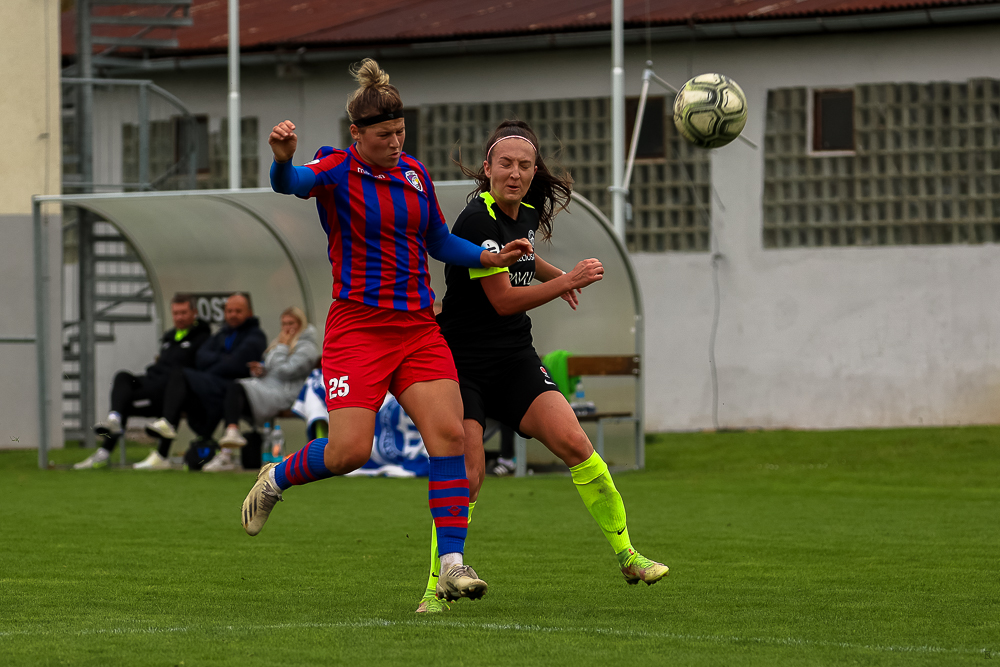 FC Viktoria Plzeň vs FC Slovan Liberec (49 z 87)