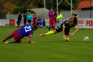 FC Viktoria Plzeň vs FC Slovan Liberec (52 z 87)