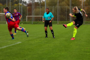 FC Viktoria Plzeň vs FC Slovan Liberec (53 z 87)