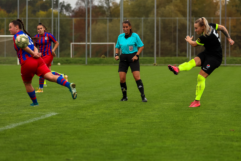 FC Viktoria Plzeň vs FC Slovan Liberec (53 z 87)