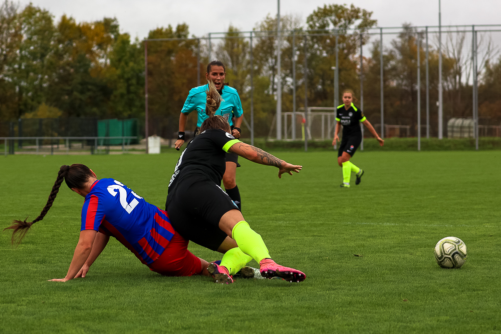 FC Viktoria Plzeň vs FC Slovan Liberec (54 z 87)