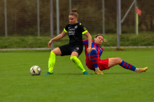 FC Viktoria Plzeň vs FC Slovan Liberec (55 z 87)
