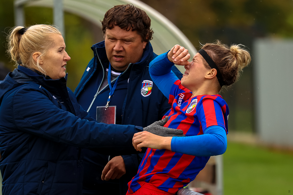 FC Viktoria Plzeň vs FC Slovan Liberec (78 z 87)