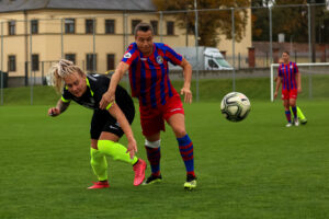 FC Viktoria Plzeň vs FC Slovan Liberec (8 z 87)