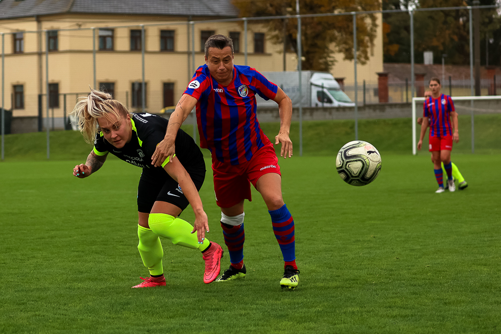 FC Viktoria Plzeň vs FC Slovan Liberec (8 z 87)