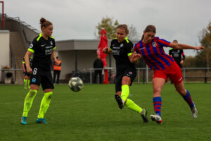 FC Viktoria Plzeň vs FC Slovan Liberec (80 z 87)