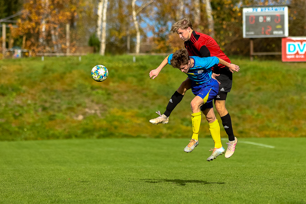 FK Nepomuk B vs TJ Seč (11 z 92)