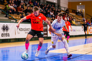 SK Interobal Plzeň vs Helas Brno (16 of 67)