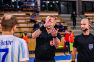 SK Interobal Plzeň vs Helas Brno (5 of 67)