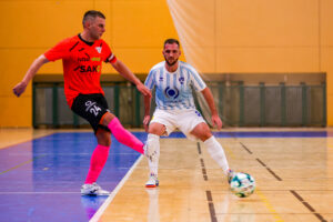 SK Interobal Plzeň vs Helas Brno (51 of 67)