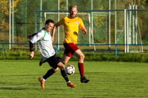 TJ Tatran Dlouhá Ves vs FK Dukla Janovice (22 z 69)