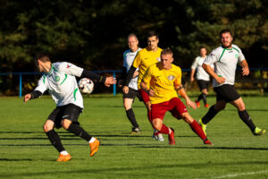 TJ Tatran Dlouhá Ves vs FK Dukla Janovice (23 z 69)