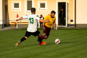 TJ Tatran Dlouhá Ves vs FK Dukla Janovice (33 z 69)