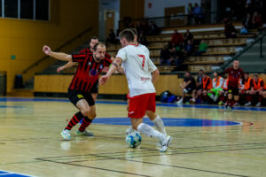 SK Interobal Plzeň vs FTZS Liberec (12 of 75)