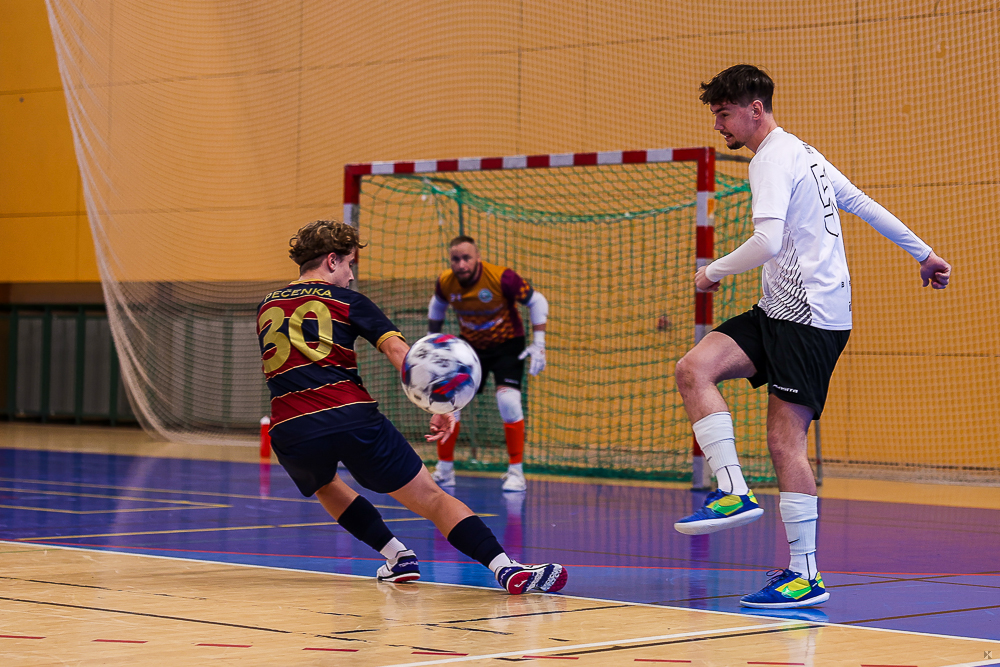 SK Interobal Plzeň vs Žabinští Vlci Brno (3 of 59)